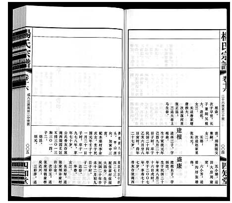 [下载][杨氏宗谱]江苏.杨氏家谱_十六.pdf