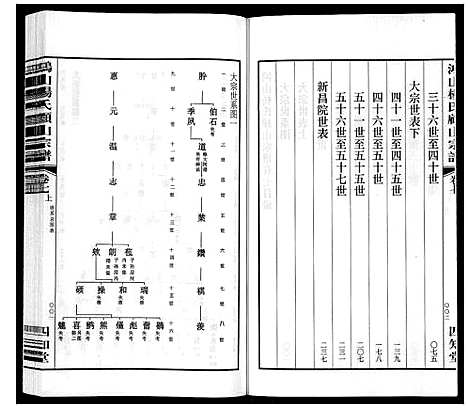 [下载][鸿山杨氏顾山宗谱_15卷首2卷末1卷]江苏.鸿山杨氏顾山家谱_九.pdf