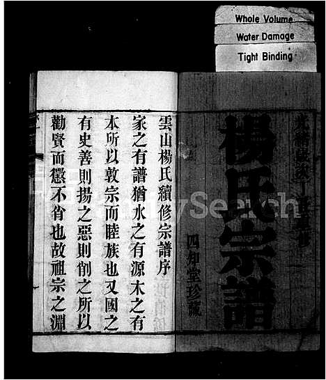 [下载][杨氏宗谱_4卷_云山杨氏宗谱]江苏.杨氏家谱.pdf