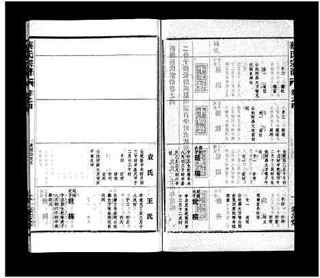 [下载][蔡氏宗谱_32卷_单行本及首6卷_新洲蔡氏宗谱]江西.蔡氏家谱_七.pdf