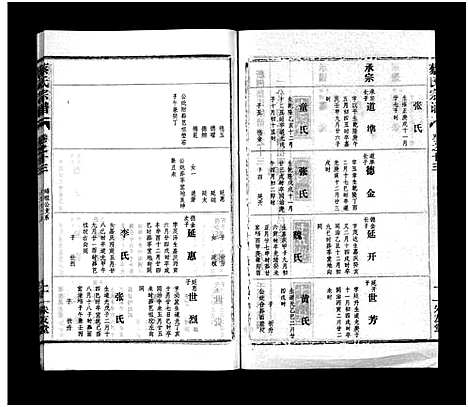 [下载][蔡氏宗谱_32卷_单行本及首6卷_新洲蔡氏宗谱]江西.蔡氏家谱_十六.pdf