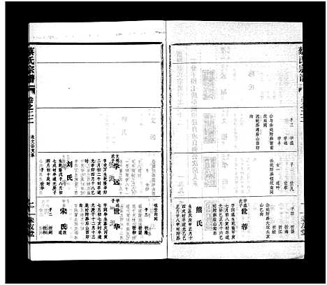 [下载][蔡氏宗谱_32卷_单行本及首6卷_新洲蔡氏宗谱]江西.蔡氏家谱_二十二.pdf