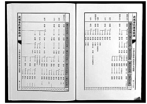 [下载][武城曾氏重修族谱]江西.武城曾氏重修家谱_二十八.pdf