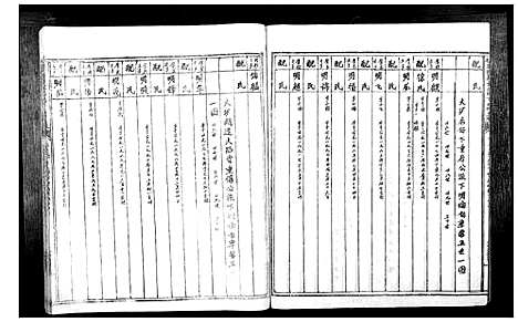 [下载][信丰陈嘉会公派下七修玉碟_不分卷]江西.信丰陈嘉会公派下七修玉碟_十一.pdf