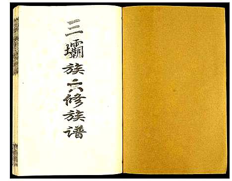 [下载][瑞金颖川陈氏首次联修族谱]江西.瑞金颖川陈氏首次联修家谱_十.pdf