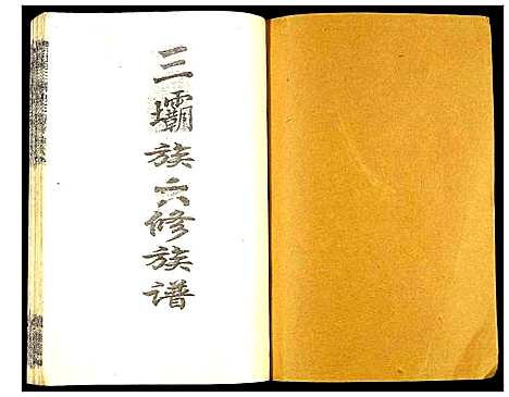 [下载][瑞金颖川陈氏首次联修族谱]江西.瑞金颖川陈氏首次联修家谱_十七.pdf