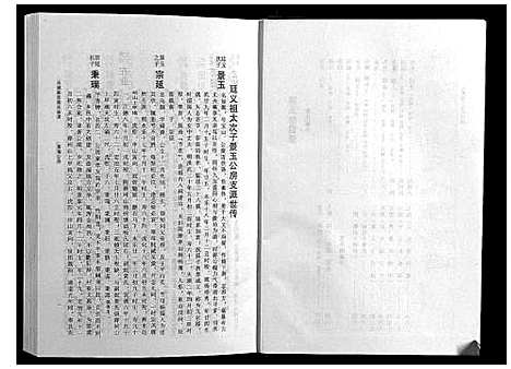 [下载][石城陈坊陈氏族谱]江西.石城陈坊陈氏家谱_三.pdf