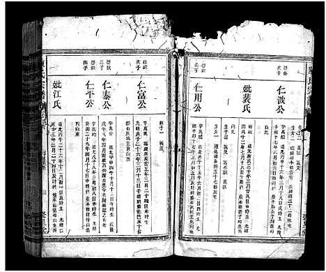 [下载][福建陈氏宗谱_9卷_陈氏宗谱_福建陈氏宗谱]江西/福建.福建陈氏家谱_二十五.pdf