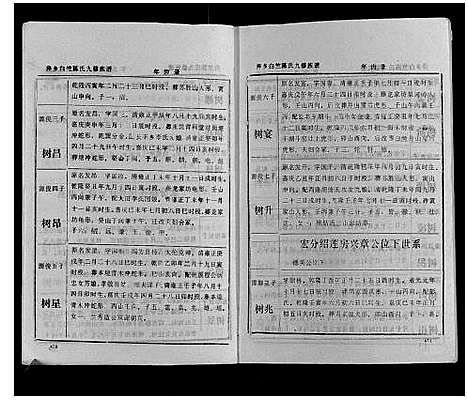 [下载][萍乡白竺陈氏九修族谱]江西.萍乡白竺陈氏九修家谱_二.pdf