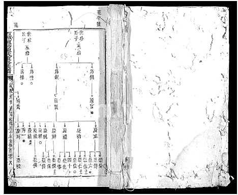 [下载][石城陈坊陈氏重修族谱_卷数不详]江西.石城陈坊陈氏重修家谱_五.pdf