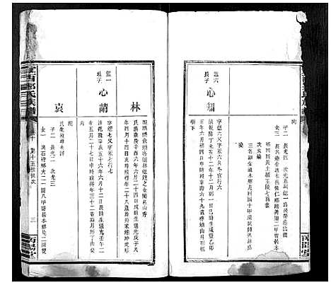 [下载][宜西邓氏族谱]江西.宜西邓氏家谱_十.pdf