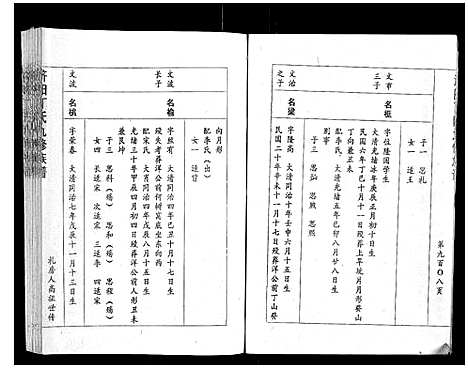 [下载][济阳丁氏九修族谱]江西.济阳丁氏九修家谱_十三.pdf