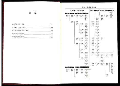 [下载][京兆湖尾杜氏宗谱_人丁卷残卷]江西.京兆湖尾杜氏家谱_二.pdf