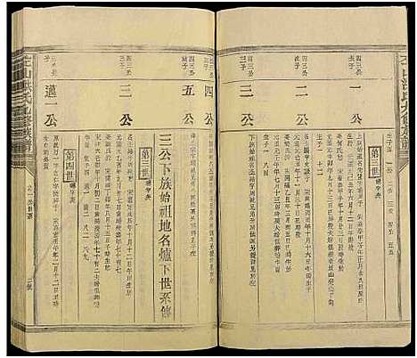 [下载][左山洪氏九修族谱_不分卷_左山洪氏族谱]江西.左山洪氏九修家谱_三.pdf