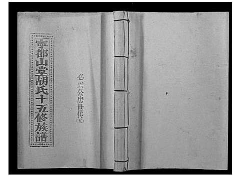 [下载][宁都山堂胡氏十五修族谱]江西.宁都山堂胡氏十五修家谱_五.pdf