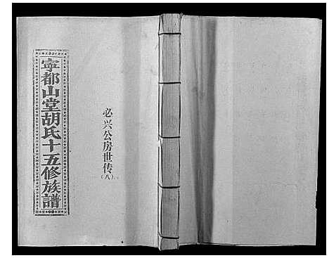 [下载][宁都山堂胡氏十五修族谱]江西.宁都山堂胡氏十五修家谱_八.pdf