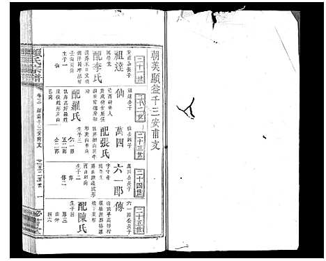 [下载][赖氏宗谱]江西.赖氏家谱_二.pdf