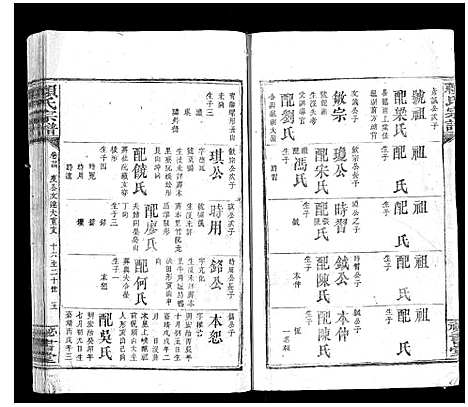 [下载][赖氏宗谱]江西.赖氏家谱_十九.pdf