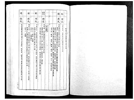 [下载][赖氏族谱_5卷]江西.赖氏家谱_五.pdf