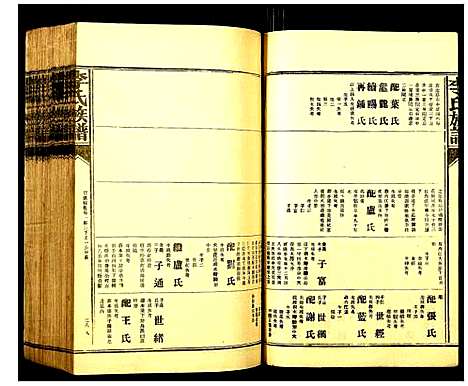 [下载][李氏族谱]江西.李氏家谱_二十四.pdf