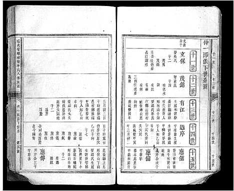 [下载][瑞邑智乡岽背李氏八修族谱_不分卷]江西.瑞邑智乡岽背李氏八修家谱_二.pdf