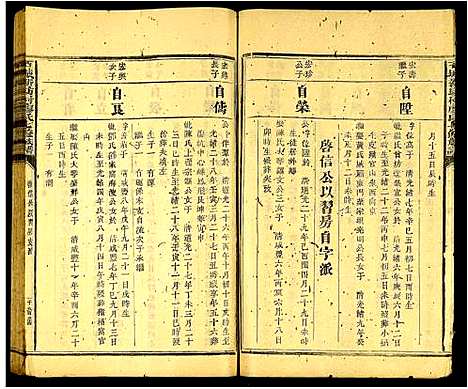 [下载][石城新坊村廖氏七修族谱_不分卷]江西.石城新坊村廖氏七修家谱_十八.pdf