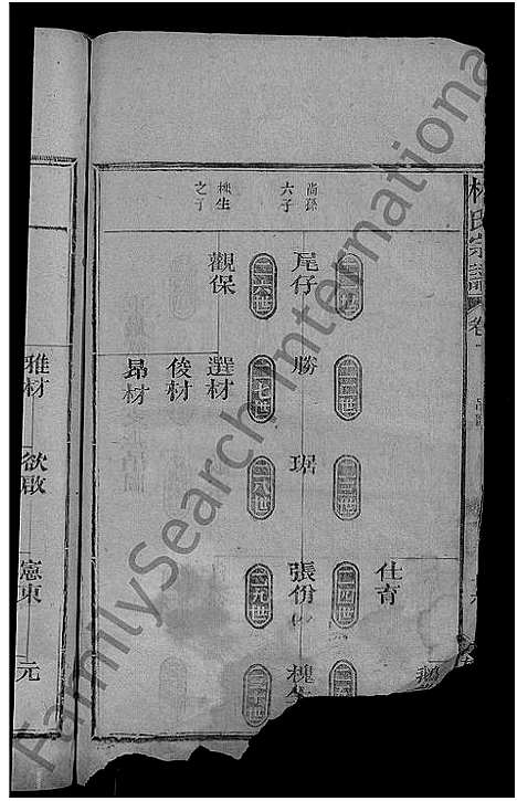 [下载][林氏宗谱_2卷_闽林宗谱]江西.林氏家谱_三.pdf