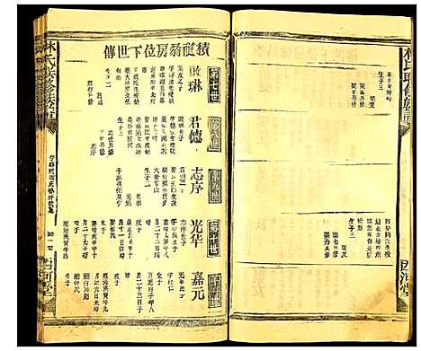 [下载][林氏联修族谱]江西.林氏联修家谱_九.pdf