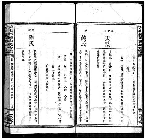 [下载][萍北佛岭柳氏族谱_11卷首3卷]江西.萍北佛岭柳氏家谱_十一.pdf