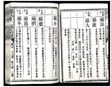 [下载][罗氏十三修宗谱]江西.罗氏十三修家谱_八.pdf