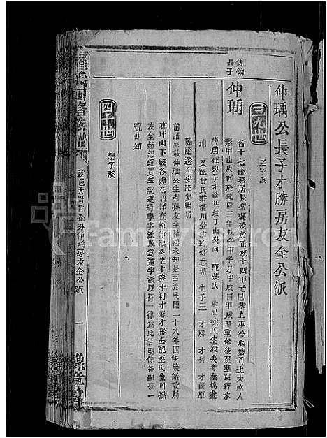 [下载][罗氏四修族谱_不分卷]江西.罗氏四修家谱_二.pdf