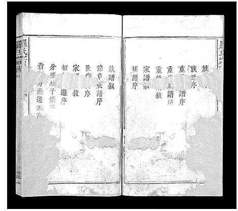 [下载][罗氏宗谱_6卷]江西.罗氏家谱_一.pdf