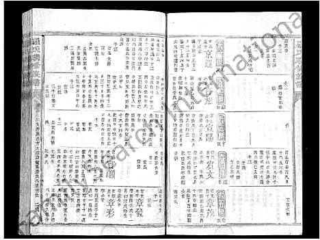 [下载][罗氏联修族谱_不分卷]江西.罗氏联修家谱_二十.pdf