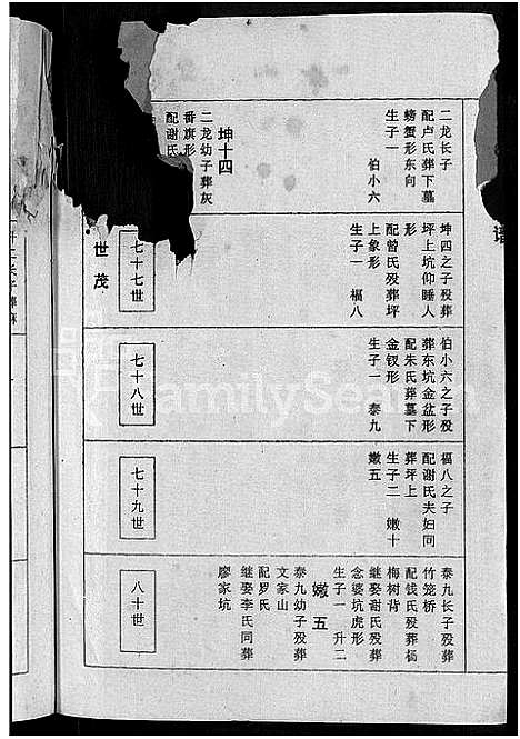 [下载][丘氏二修联谱_不分卷]江西.丘氏二修联谱_十九.pdf