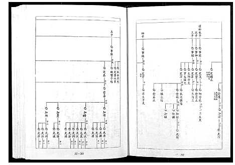 [下载][宁邑赖溪宋氏四修族谱]江西.宁邑赖溪宋氏四修家谱_二.pdf