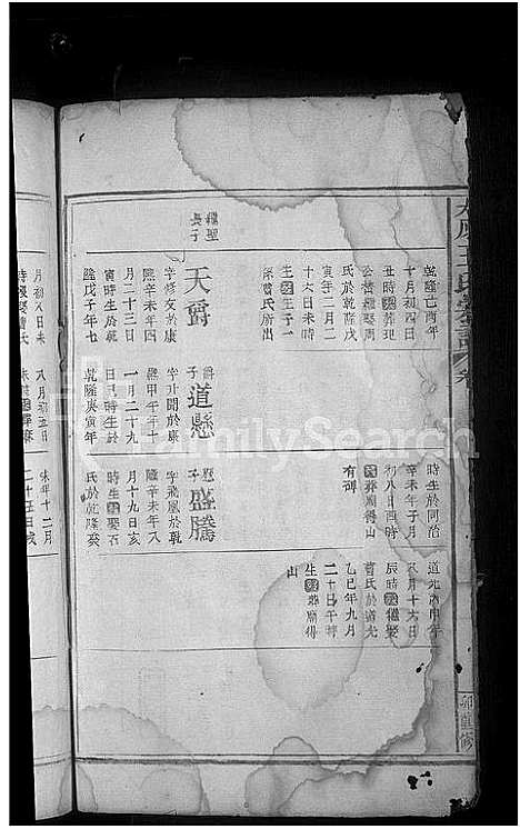 [下载][太原王氏宗谱_10卷首1卷]江西.太原王氏家谱_三.pdf