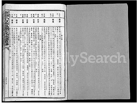 [下载][宁都小布木瓜园王氏重修族谱_不分卷_宁都小布木瓜园王氏族谱重修]江西.宁都小布木瓜园王氏重修家谱_二.pdf