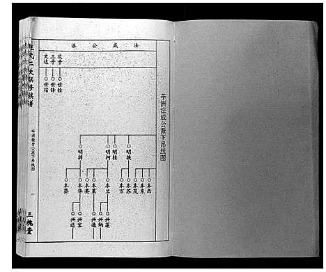 [下载][王氏二次联修族谱]江西.王氏二次联修家谱_九.pdf