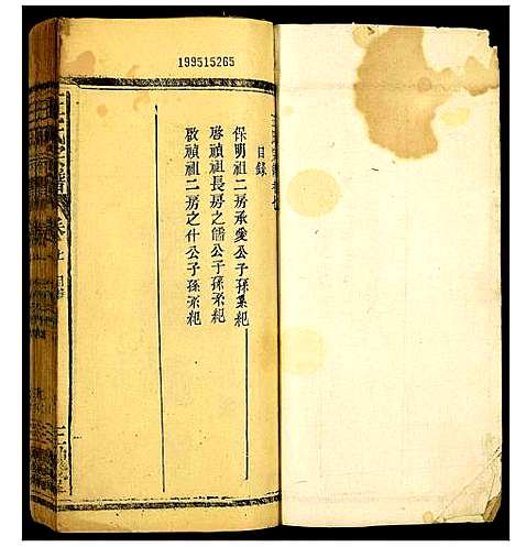 [下载][王氏宗谱]江西.王氏家谱_三.pdf