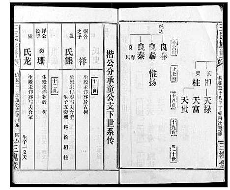 [下载][王氏族谱]江西.王氏家谱_九.pdf