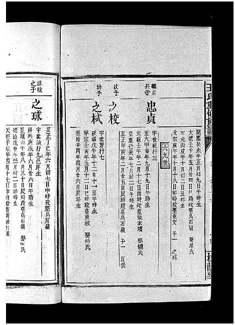 [下载][王氏重修族谱_不分卷_王氏宗谱]江西.王氏重修家谱_三十.pdf