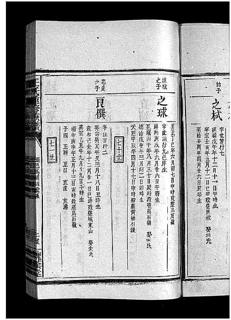 [下载][王氏重修族谱_不分卷_王氏宗谱]江西.王氏重修家谱_三十.pdf