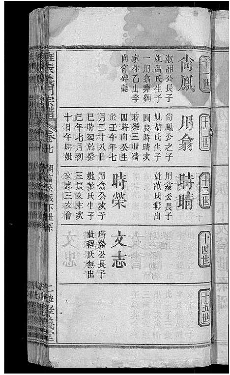 [下载][旌表义门宗谱_46卷_义门宗谱]江西.旌表义门家谱_九.pdf