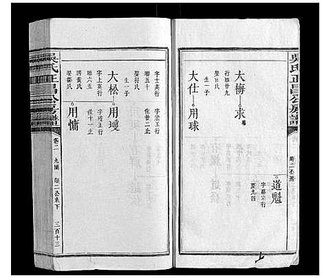 [下载][吴氏正昌公房谱_4卷]江西.吴氏正昌公房谱_三.pdf