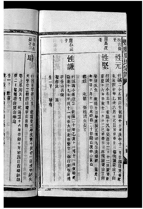 [下载][丰庆夏氏宗谱_8卷_丰庆夏氏宗谱]江西.丰庆夏氏家谱_六.pdf