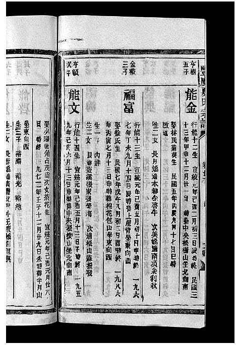 [下载][丰庆夏氏宗谱_8卷_丰庆夏氏宗谱]江西.丰庆夏氏家谱_十.pdf