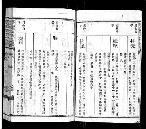 [下载][丰庆夏氏宗谱_8卷_丰庆夏氏宗谱]江西.丰庆夏氏家谱_六.pdf