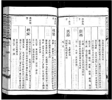 [下载][丰庆夏氏宗谱_8卷_丰庆夏氏宗谱]江西.丰庆夏氏家谱_六.pdf