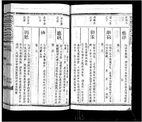 [下载][丰庆夏氏宗谱_8卷_丰庆夏氏宗谱]江西.丰庆夏氏家谱_七.pdf