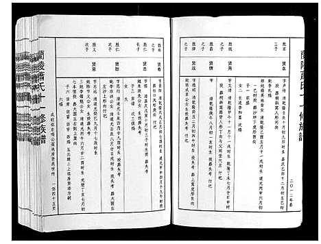 [下载][兰陵萧氏十一修族谱_不分卷]江西.兰陵萧氏十一修家谱_十三.pdf